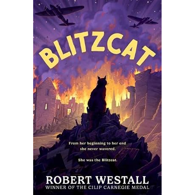 Blitzcat