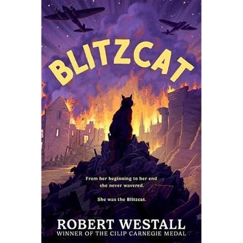 Blitzcat