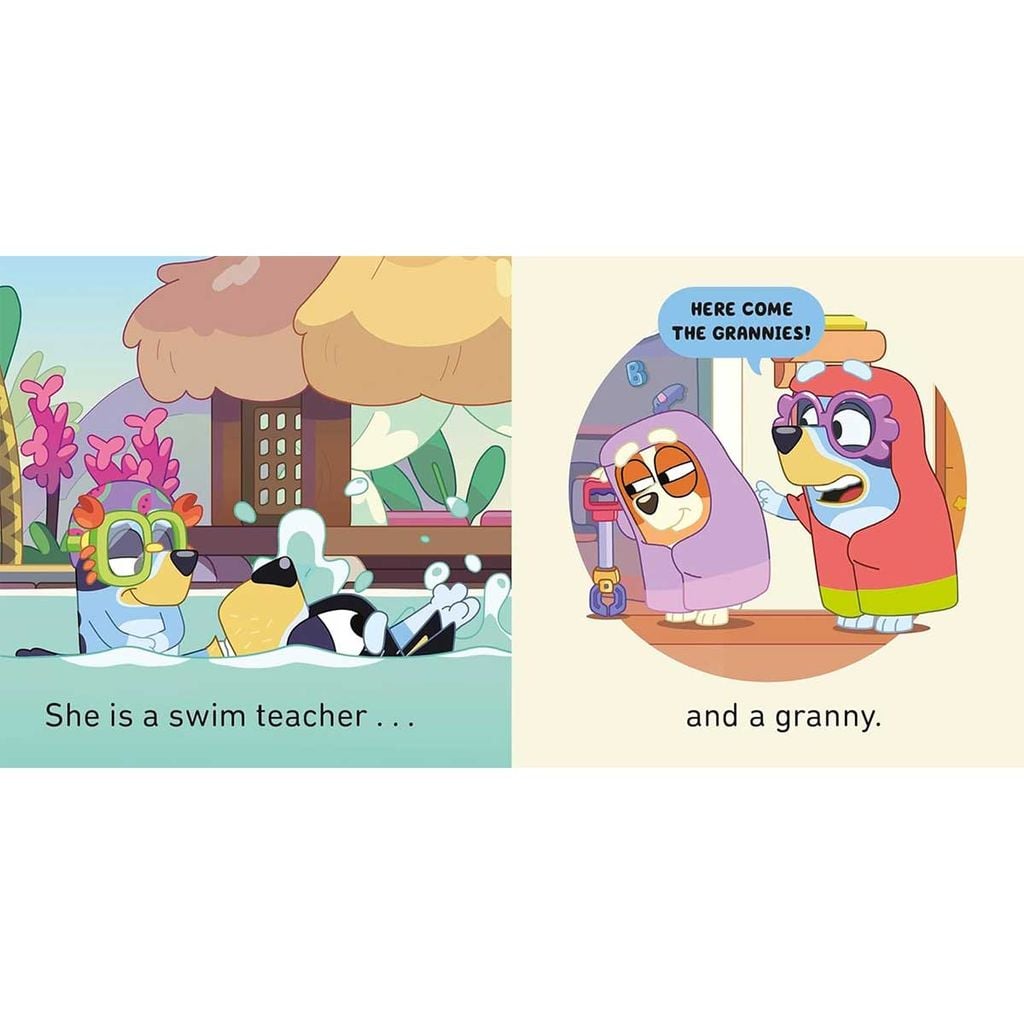 Bluey Playtime Little Library