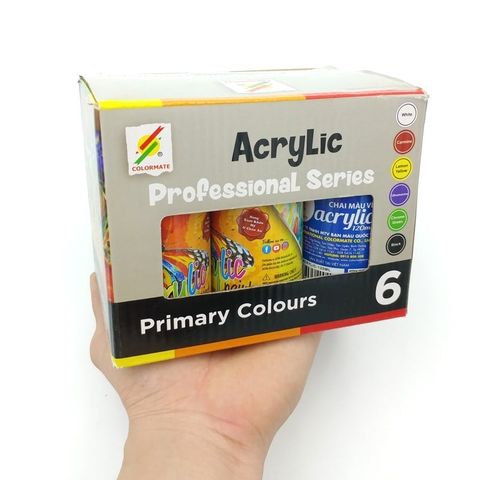Hộp 6 Chai Màu Vẽ 120ML Acrylic-6B