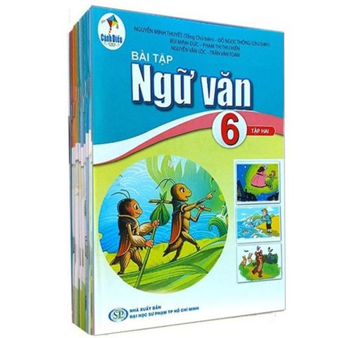 Bộ Bài Tập Sách Giáo Khoa Lớp 6 - Bộ Cánh Diều (11 cuốn)