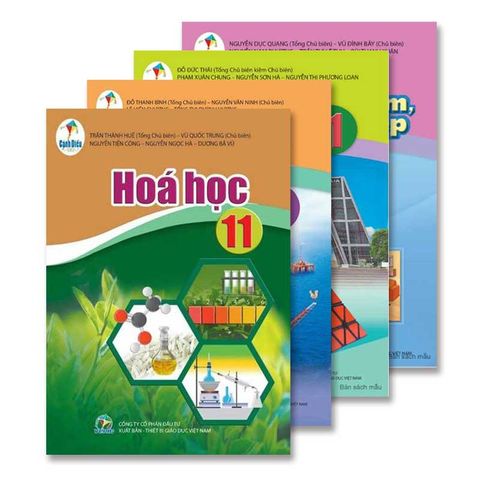 Bộ Sách Giáo Khoa Bài Học Lớp 11 - Bộ Cánh Diều (13 cuốn)