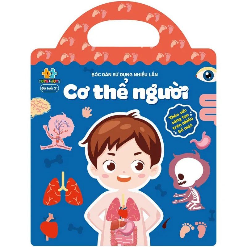 Bóc Dán Sử Dụng Nhiều Lần - Cơ Thể Người