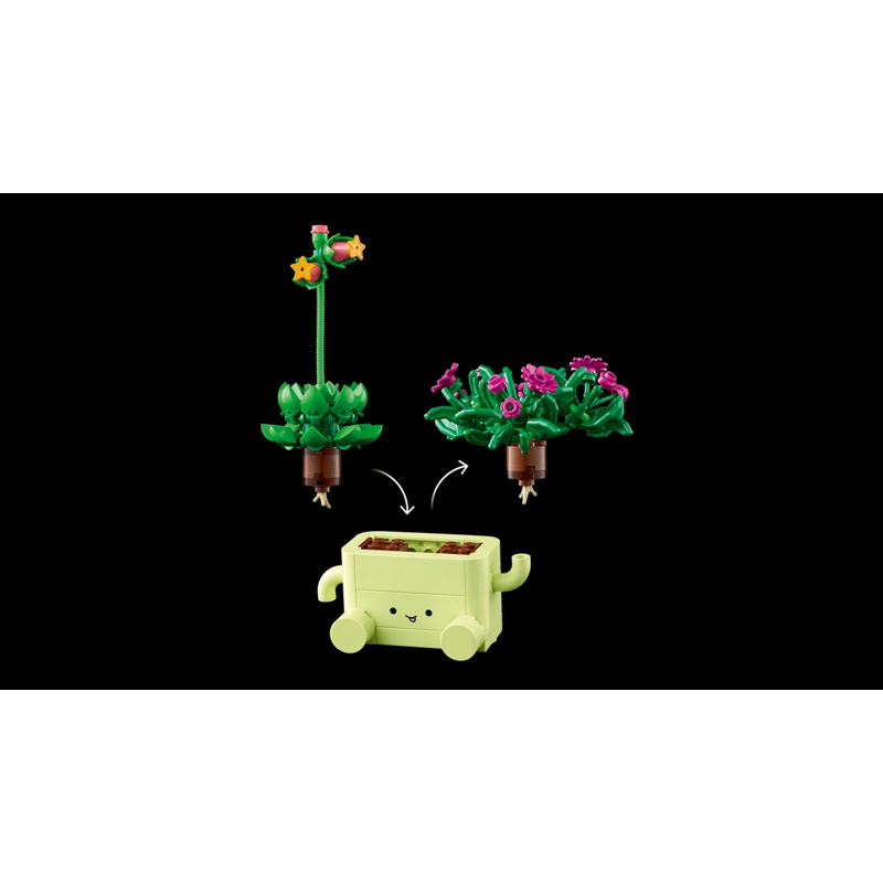 Lego Botanicals Đồ Chơi Lắp Ráp Chậu Cây Nhí Nhảnh 11506