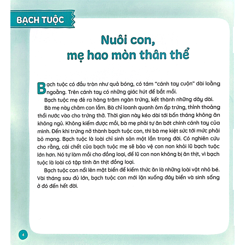 Cá Chuối Đắm Đuối Vì Con