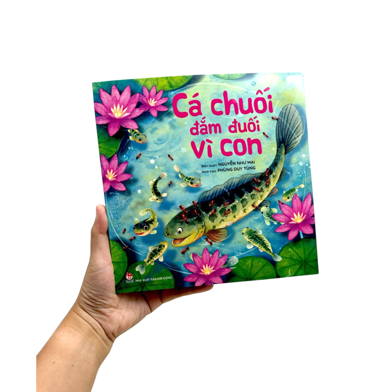 Cá Chuối Đắm Đuối Vì Con