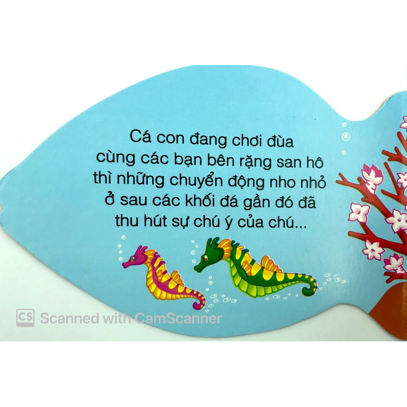 Cá Con Thân Thiện - Những Người Bạn Tốt