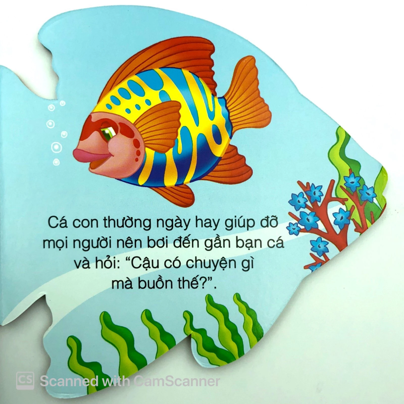 Cá Con Thân Thiện - Những Người Bạn Tốt
