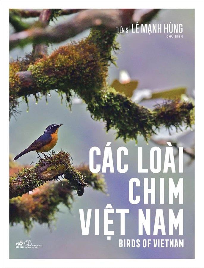 Các Loài Chim Việt Nam