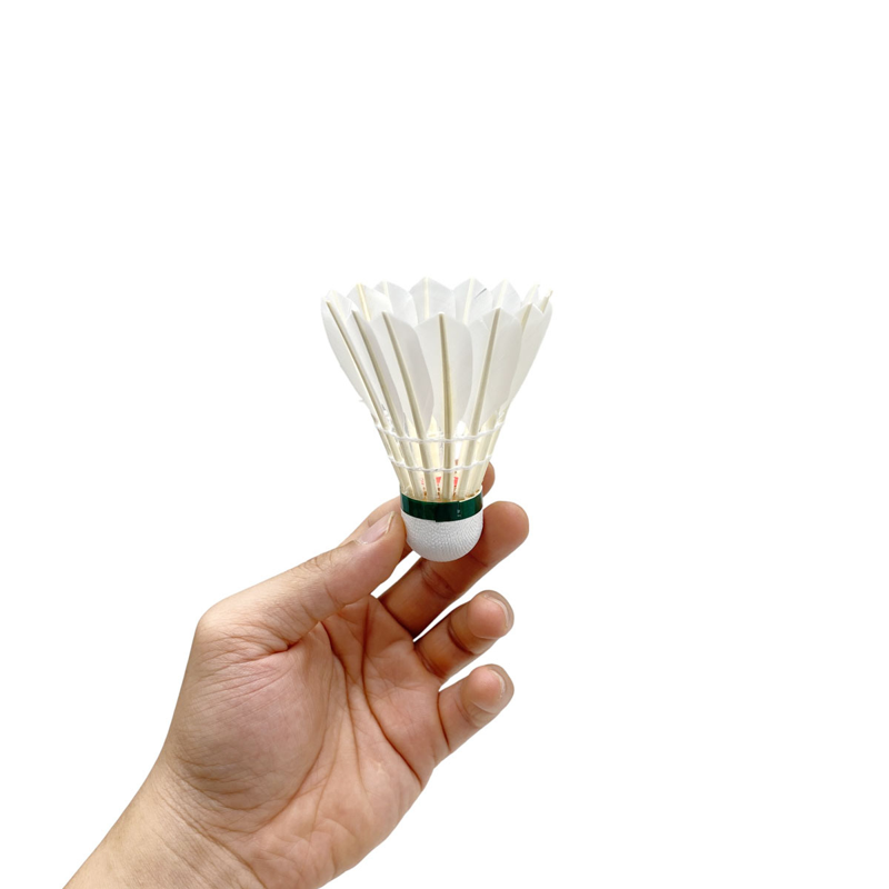 Cầu Lông AS3 (LHT)