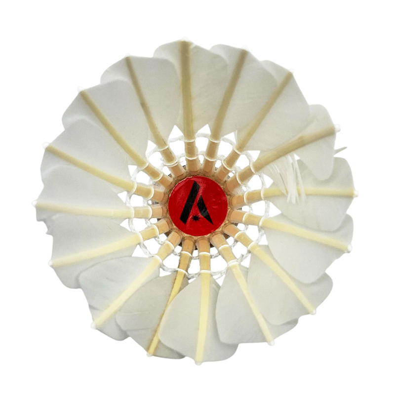 Cầu Lông AS3 (LHT)