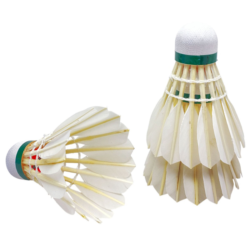 Cầu Lông AS3 (LHT)
