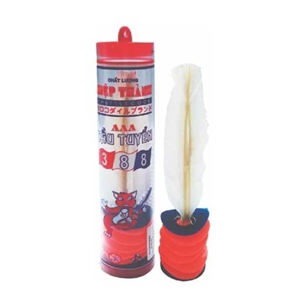 Cầu Tuyển 388 CT388