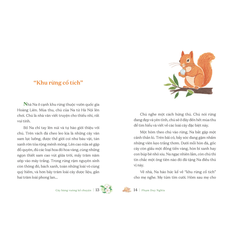 Cây Bàng Vuông Kể Chuyện