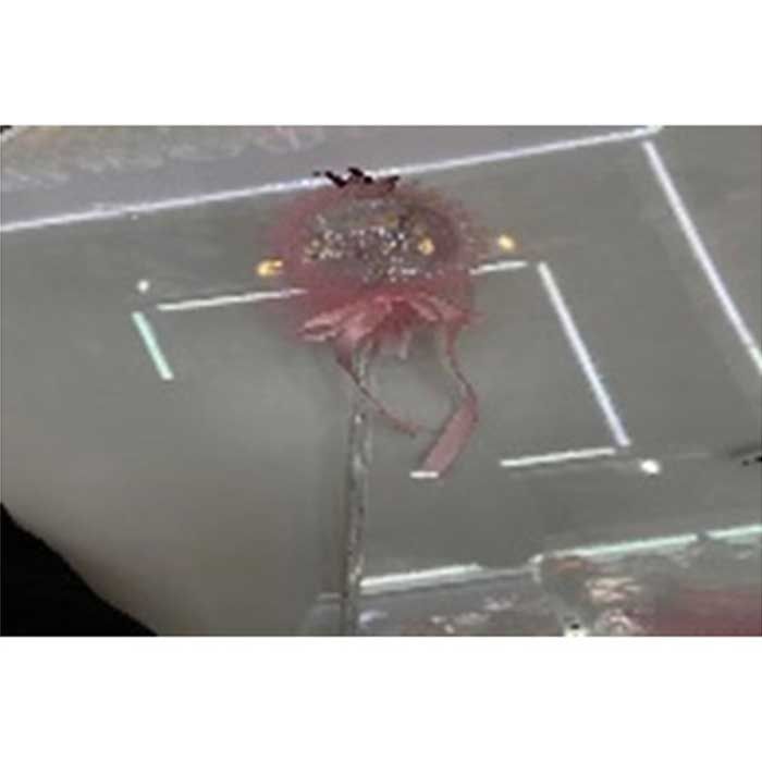 Cây Cầm Tay Vương Miệng 2596-15