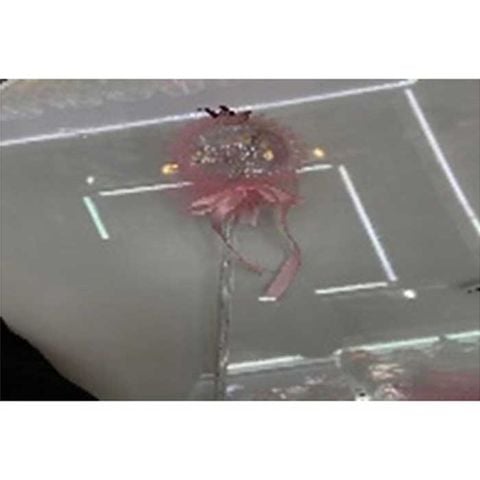 Cây Cầm Tay Vương Miệng 2596-15