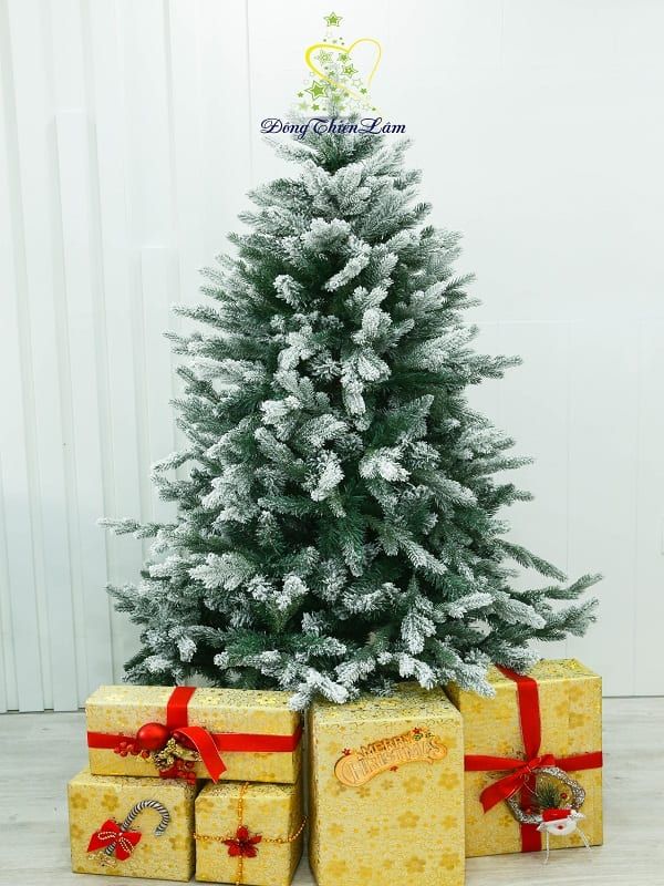 Cây Thông Noel PE Phủ Tuyết 2M1