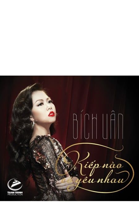 Kiếp Nào Có Yêu Nhau - Bích Vân (CD)