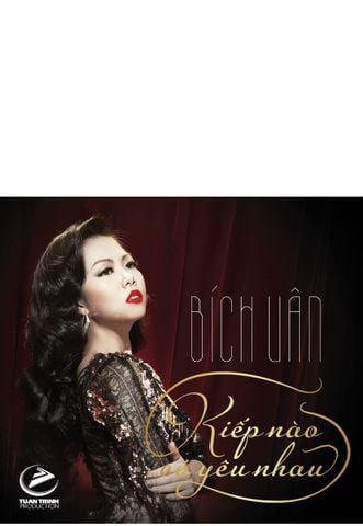 Kiếp Nào Có Yêu Nhau - Bích Vân (CD)