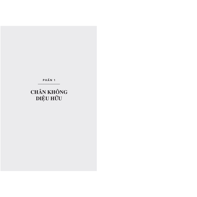 Chân Không Diệu Hữu