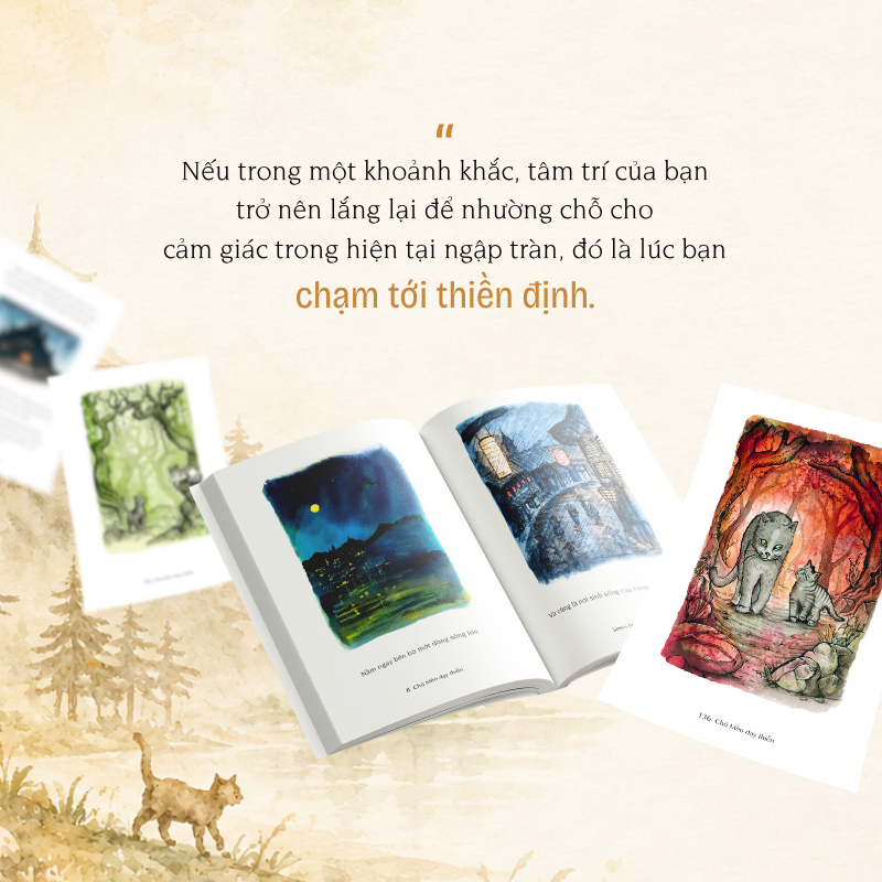 Chú Mèo Dạy Thiền