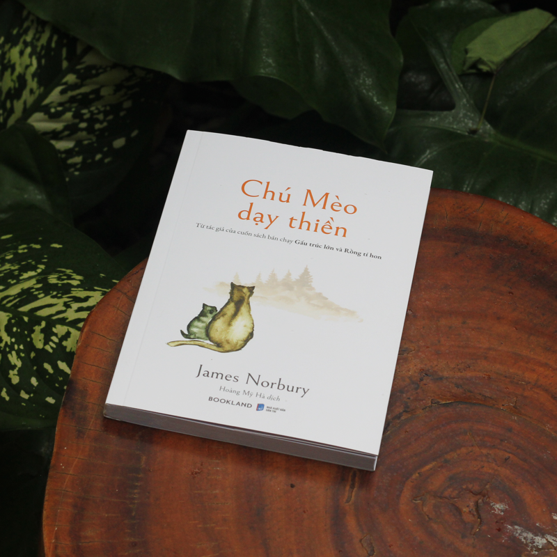 Chú Mèo Dạy Thiền