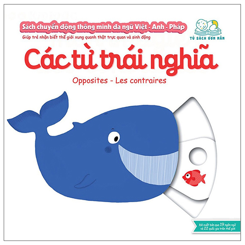 Cơ Thể Người - Kikidoc (Việt Anh Pháp)