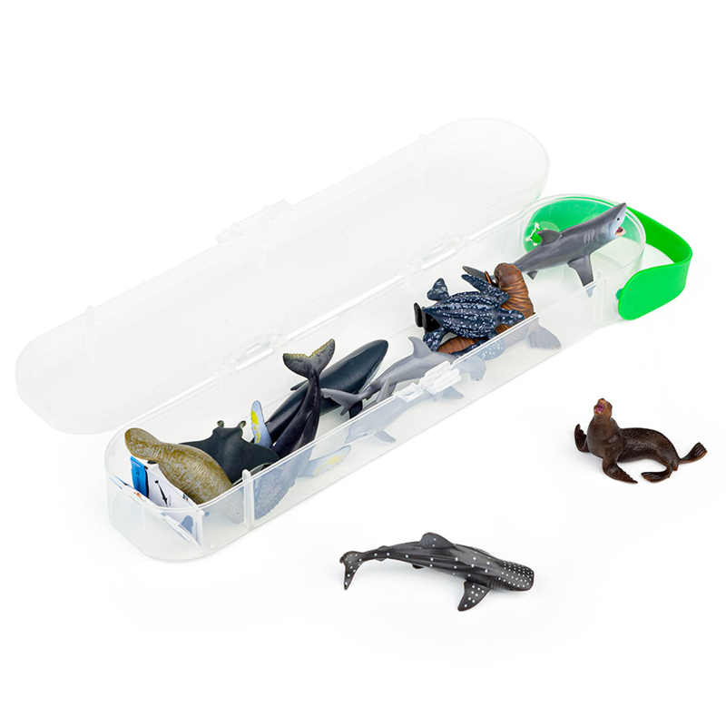 Collecta Bộ Sưu Tập Mô Hình 12 Sinh Vật Biển A1107