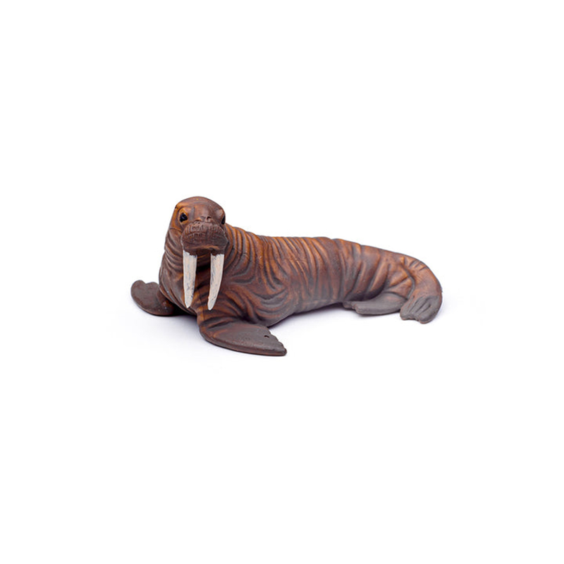 Collecta Bộ Sưu Tập Mô Hình 12 Sinh Vật Biển A1107