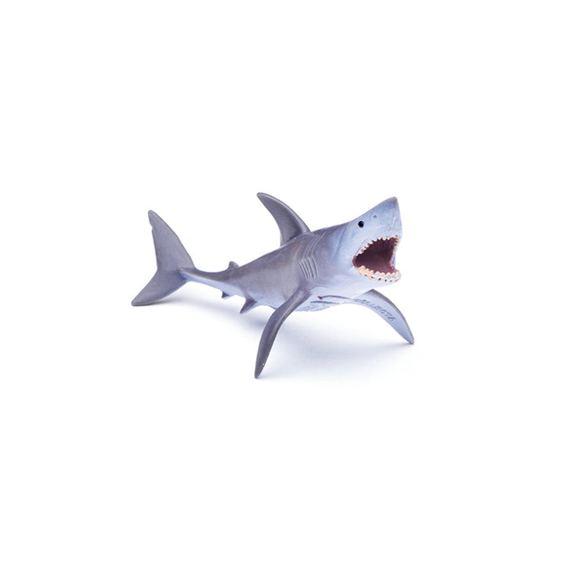 Collecta Bộ Sưu Tập Mô Hình 12 Sinh Vật Biển A1107