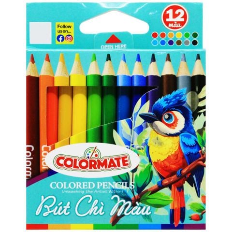 Colormate - Hộp Giấy 12 Cây Bút Chì Màu Ngắn (11.5x9x1cm)