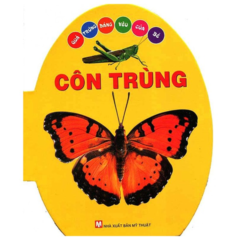 Côn Trùng - Quả Trứng Đáng Yêu Của Bé