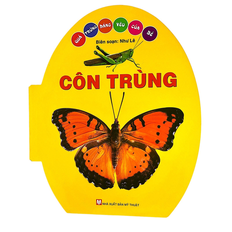Côn Trùng - Quả Trứng Đáng Yêu Của Bé