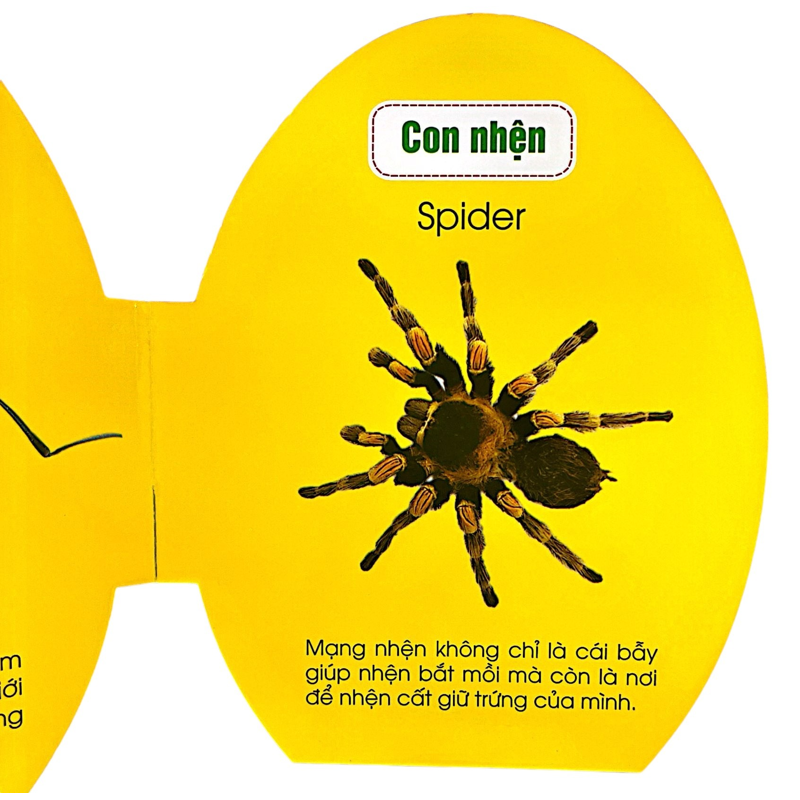 Côn Trùng - Quả Trứng Đáng Yêu Của Bé