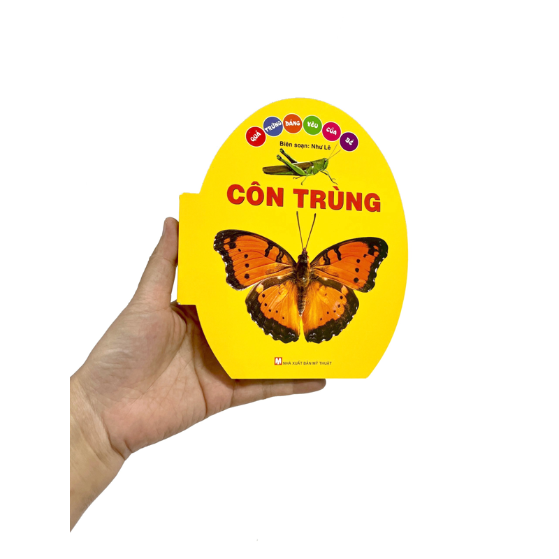 Côn Trùng - Quả Trứng Đáng Yêu Của Bé