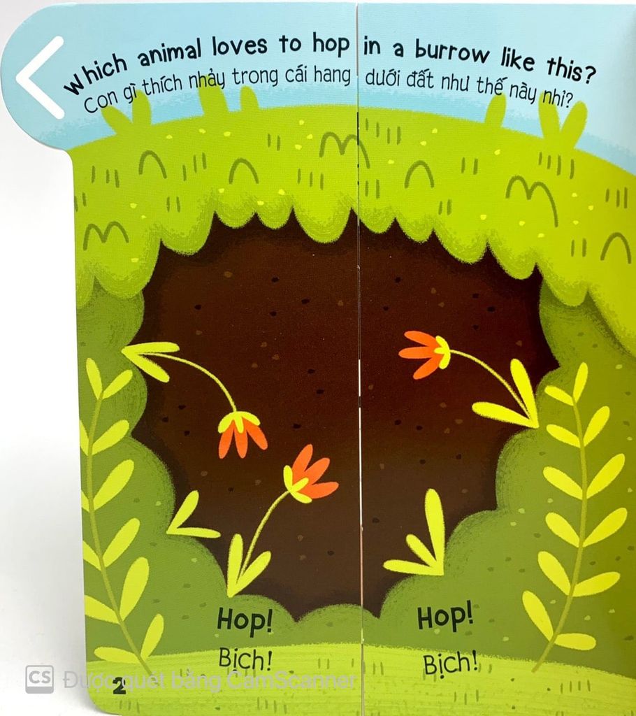 CÙNG KÉO VÀ NHÌN-CÁC LOẠI ĐỘNG VẬT (SN)