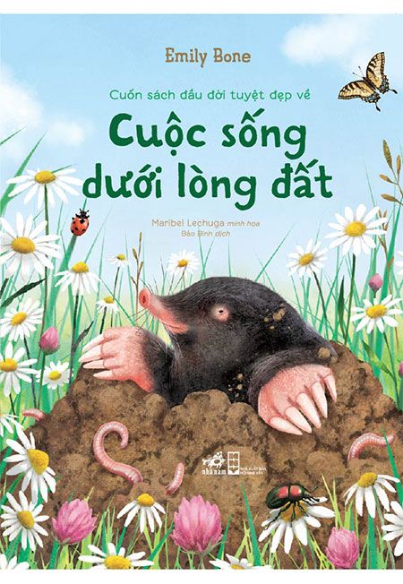 Cuốn Sách Đầu Đời Tuyệt Đẹp Về Cuộc Sống Dưới Lòng Đất