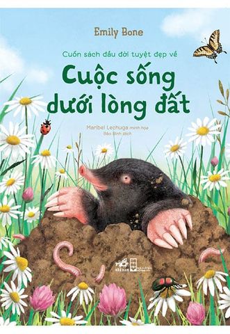 Cuốn Sách Đầu Đời Tuyệt Đẹp Về Cuộc Sống Dưới Lòng Đất