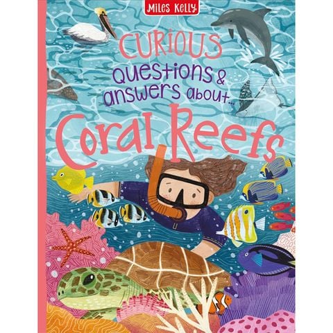 Curious Questions & Answers About Coral Reefs