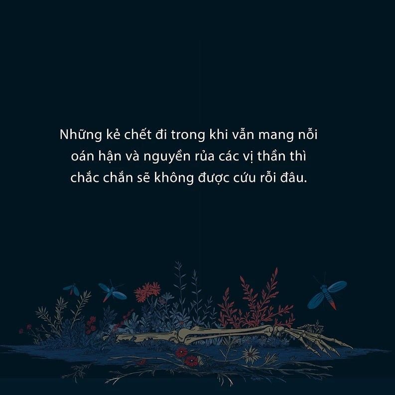 Đài Phát Thanh Lúc Nửa Đêm