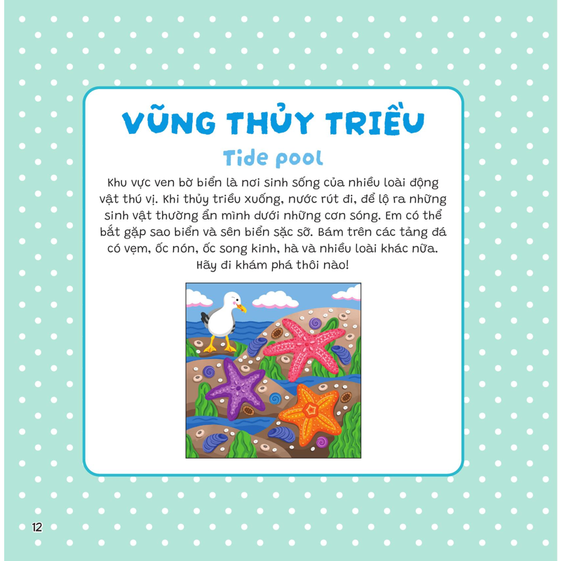 Dán Khéo Tay Hiện Hình Ngay! - Đại Dương