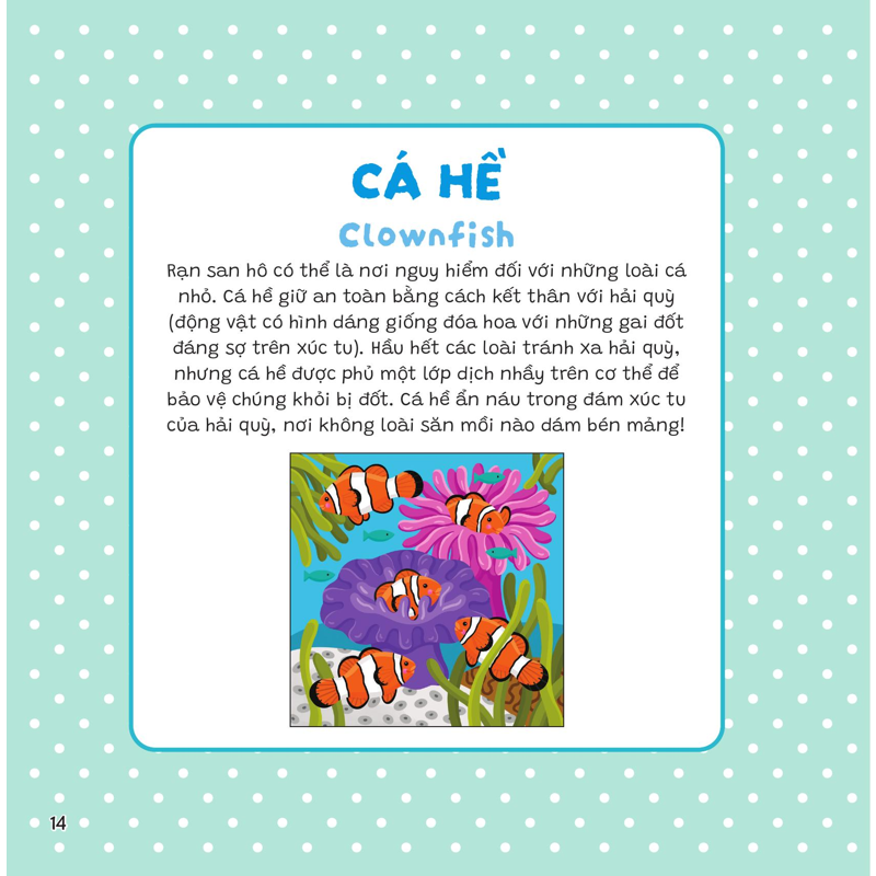 Dán Khéo Tay Hiện Hình Ngay! - Đại Dương