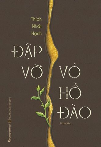 Đập Vỡ Vỏ Hồ Đào (Tái bản năm 2021)