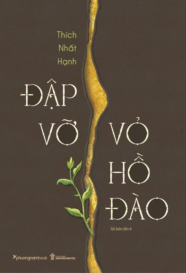 Đập Vỡ Vỏ Hồ Đào (Tái bản năm 2024)