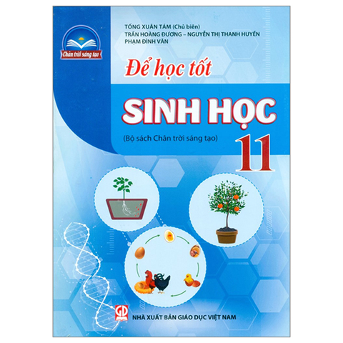 Để Học Tốt Sinh Học 11 (2024-Ctst)