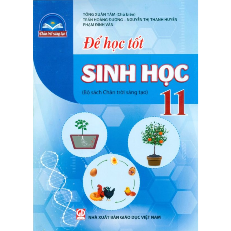 Để Học Tốt Sinh Học 11 (2024-Ctst)