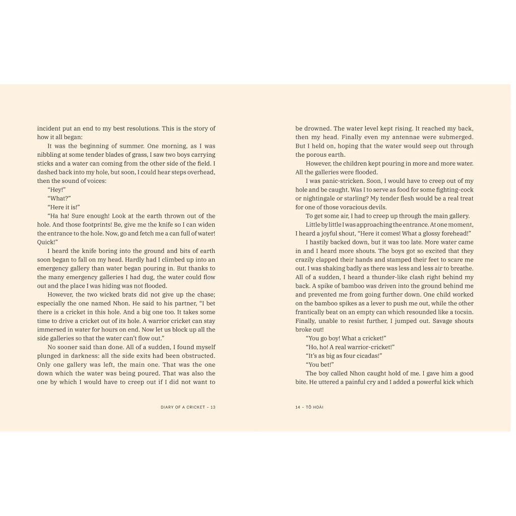 Diary Of A Cricket (Bìa cứng)