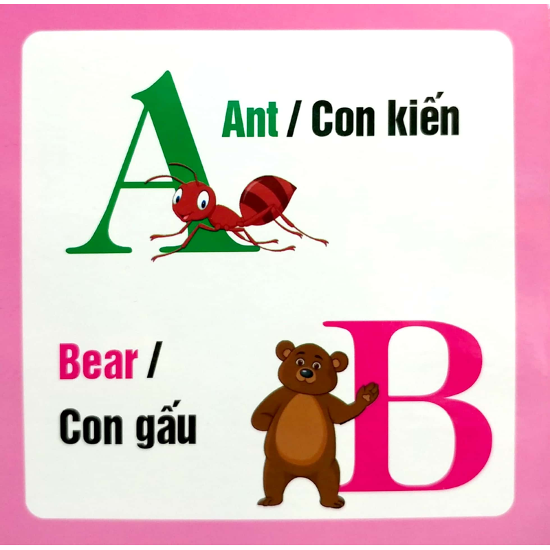 Từ Điển Hình Ảnh Cho Bé - Chữ Cái Tiếng Anh (English Alphabet)