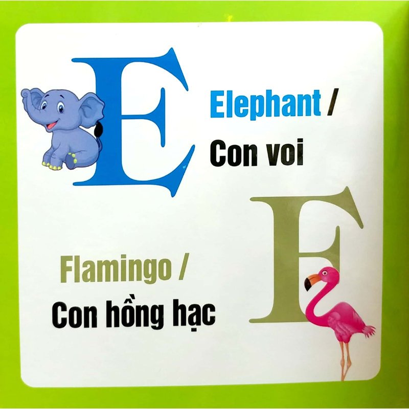 Từ Điển Hình Ảnh Cho Bé - Chữ Cái Tiếng Anh (English Alphabet)