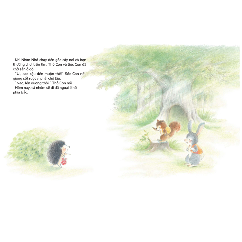 Điều Ước Của Nhím Nhỏ